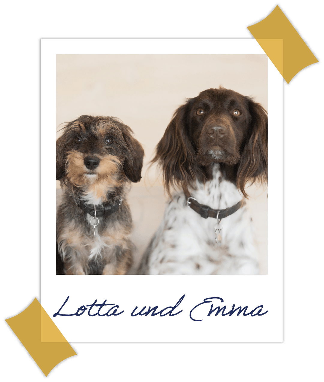Ein Polaroid-Bild der beiden Hunde Emma und Lotta