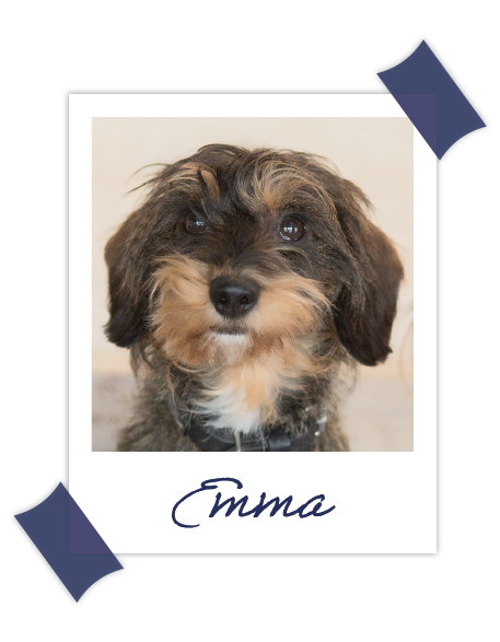 Ein Polaroid-Bild der Feelgoodmanagerin Emma