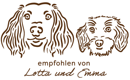 Illustration der petschies-Maskotchen Lotta und Emma, die eine Empfehlung aussprechen